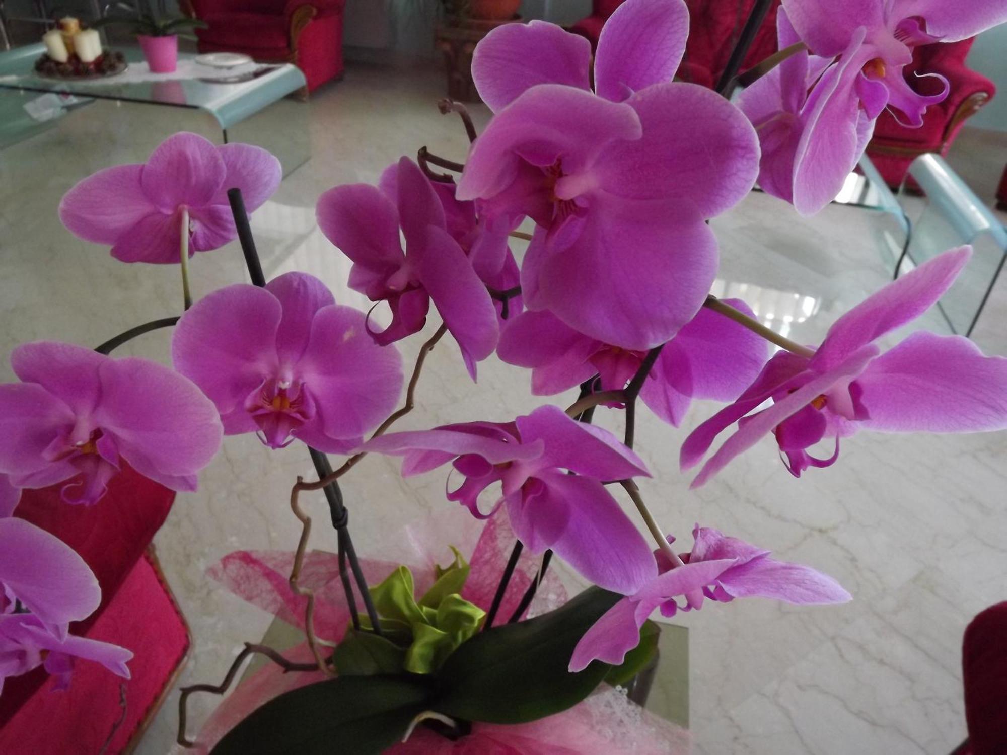 Hotel Cristina Chianciano Terme Phòng bức ảnh